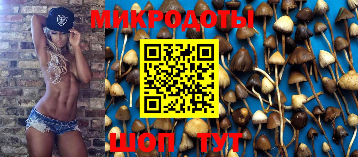 Галлюциногенные грибы MAGIC MUSHROOMS  Вход с VPN  Губаха 