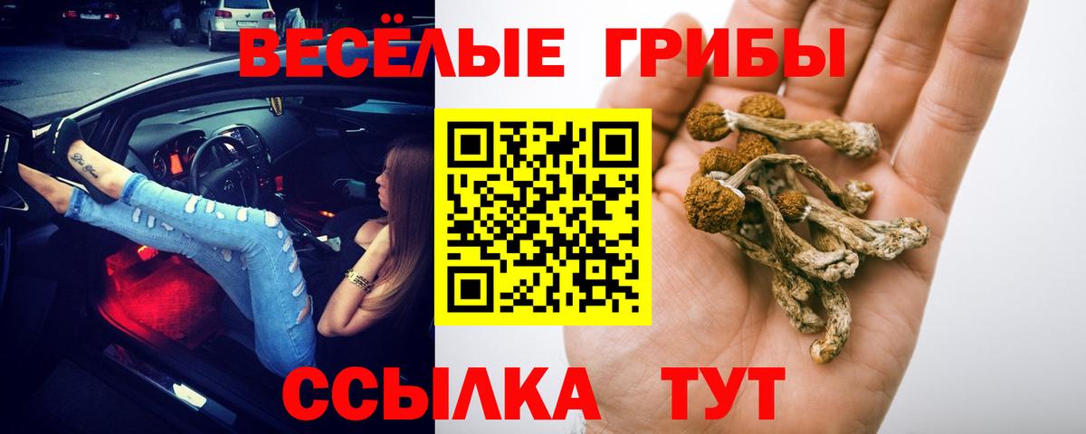 Псилоцибиновые грибы Cubensis Губаха