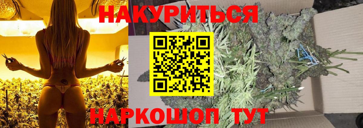 Марихуана конопля Губаха
